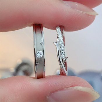 DW0983A/DW0983B 精品...