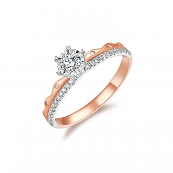 HR0411-30 经典四六爪...