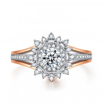 BZR005《星花怒放·星...