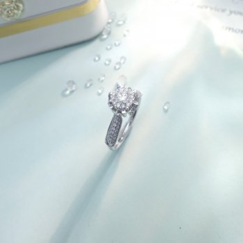 SHR1015-80 《百花系...